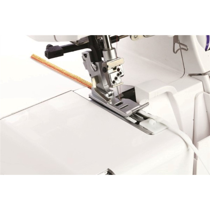 Pied ruban, cordonnet Pied ruban, cordonnet